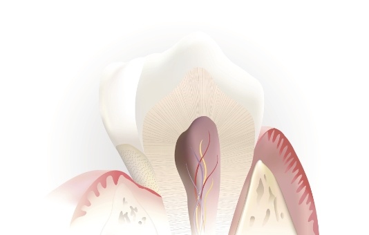 Animated inside of a tooth representing root canal therapy